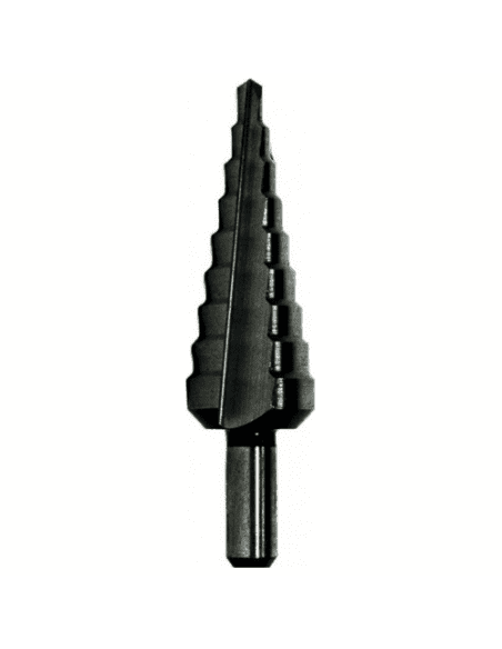 Forets étagé conique - AMAYA